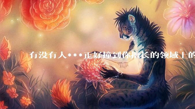 有没有人***正好撞到你擅长的领域上的？