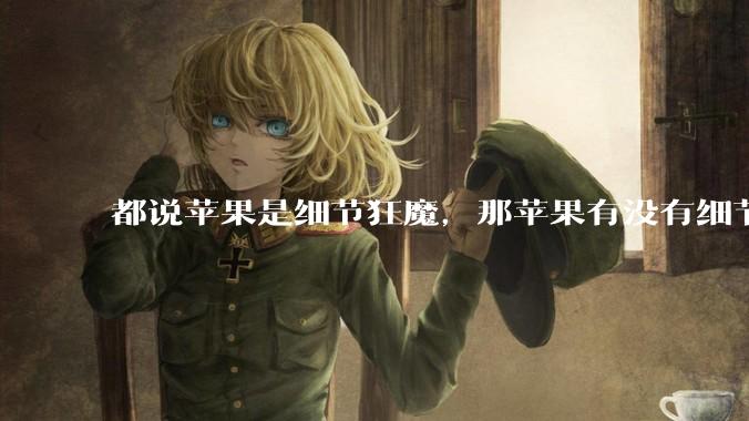 都说苹果是细节狂魔，那苹果有没有细节其实做的很差的点？
