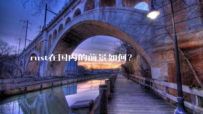 rust在国内的前景如何？